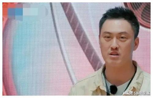 娱乐圈吃瓜2025,吃瓜群众狂欢,揭秘明星幕后故事
