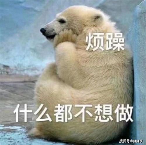 吃瓜群众表情包 微信图片